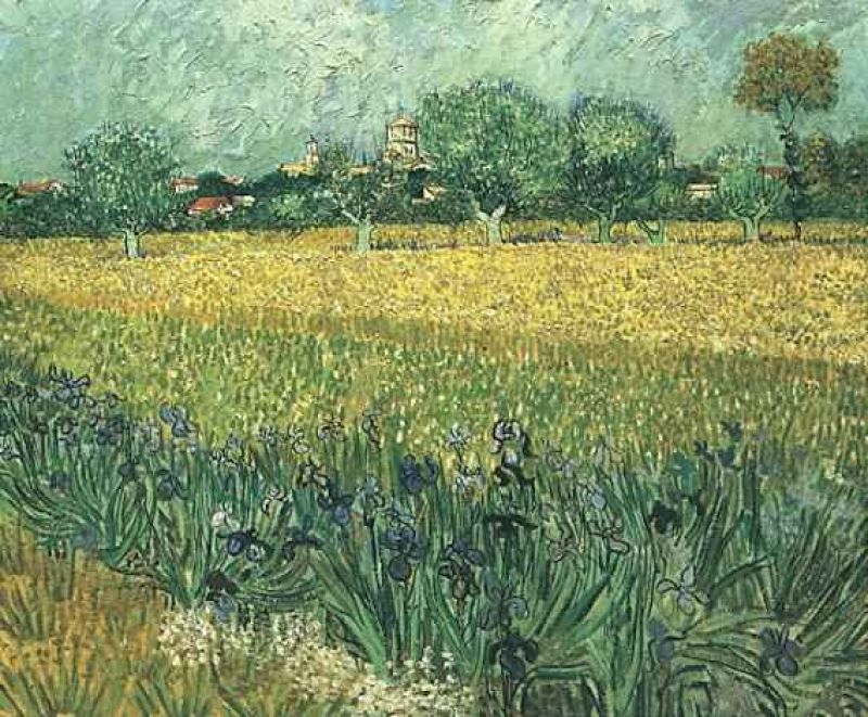 1888 view of arles with irises in the foreground.jpg